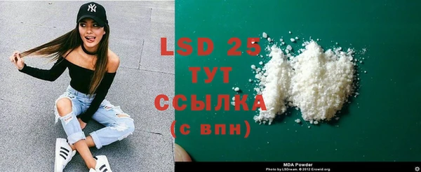 прущие грибы Алзамай