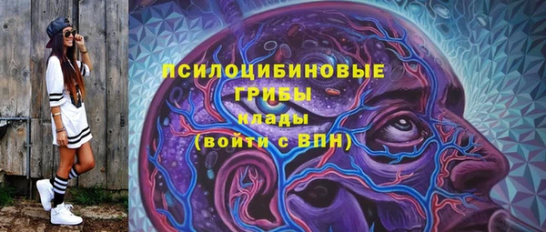 прущие грибы Алзамай