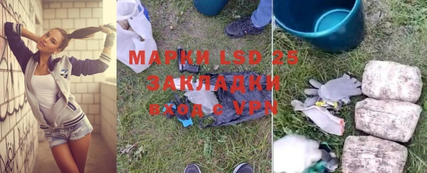прущие грибы Алзамай