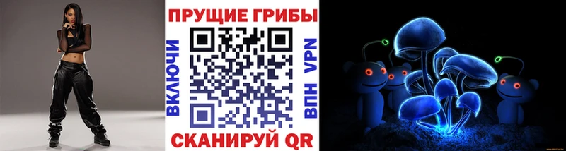 Галлюциногенные грибы Psilocybe  Новокузнецк 